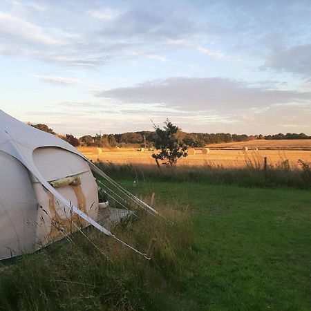 فندق Wild Retreat Cawston المظهر الخارجي الصورة